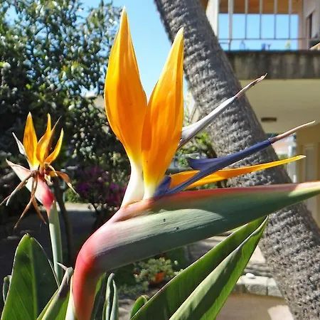 بيت للعطل Casa Da Quinta