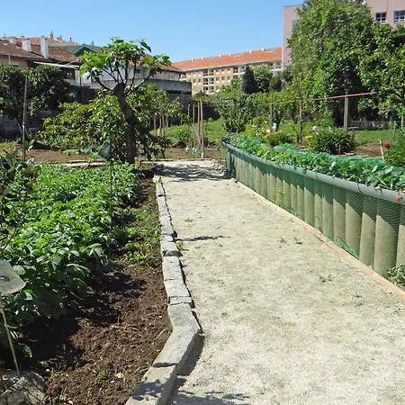 Casa Da Quinta بيت للعطل *