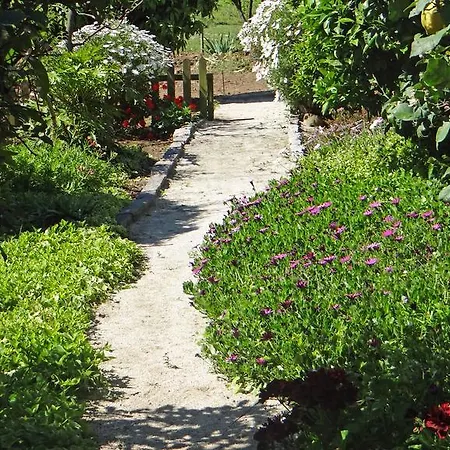 Casa Da Quinta بيت للعطل بورتو